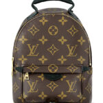 Louis Vuitton Palm Springs Mini M44873 Brown